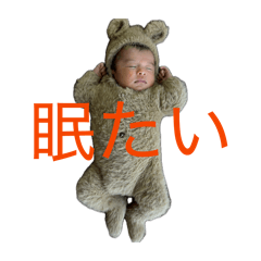 kk8_20260512194626