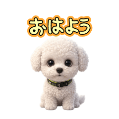 kazu_20260512195100