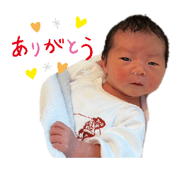 tawashi_20260512194958