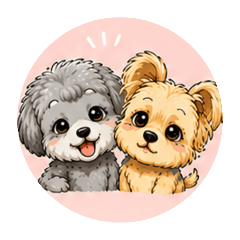 cute_20260512195004