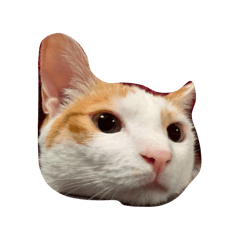 hatthan