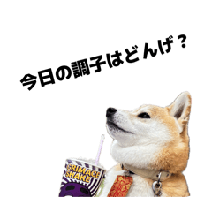 kotaoo_20260512213537