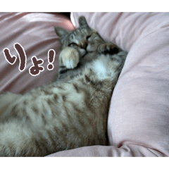 kazuse_20260512213809