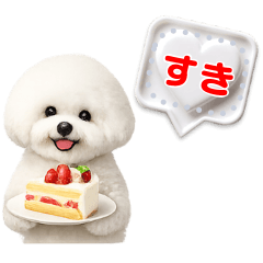 Fluffy cuddly Bichon Frise speech bubble