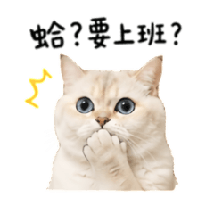 豆寶-不想上班系列