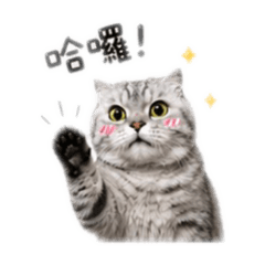阿球 可愛篇