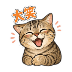 咪嚕 日常用語篇