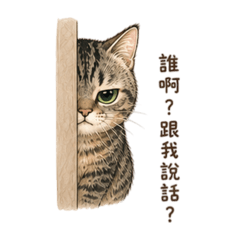 短腿喵喵~嚇虎誰!萌萌噠~(跩喵篇)