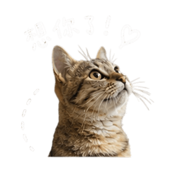 優格小天使