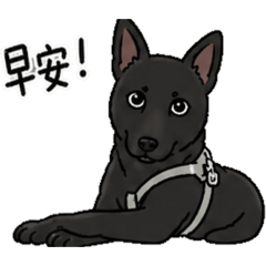 可樂黑犬