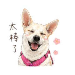 努那ㄉ日常用語