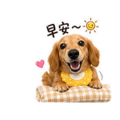 旺醬 汪汪叫