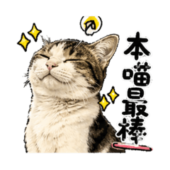 臭屁小嚕的1234567