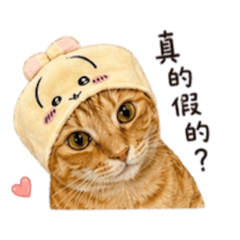 威~我是溏心蛋