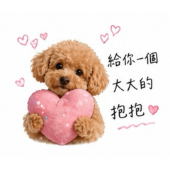 亮亮關心你