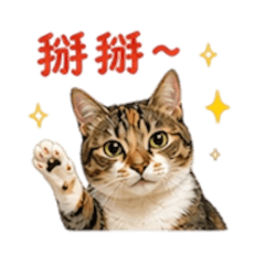 瘦子哈嚕嚕