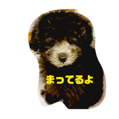 dairi0118