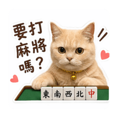 九筒打麻將