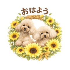 song june_20260512210101