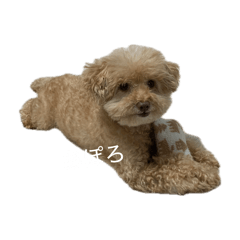 jewel_20260512210348