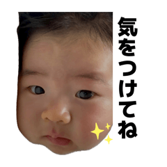 maco_20260512205921
