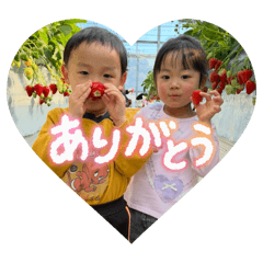 saki_20260512205319