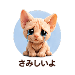 Teddy Fleece Sphynx Cat Boyfriend