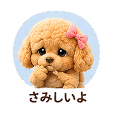 Teddy Fleece Toy Poodle Dog Girlfriend