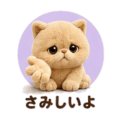 Teddy Fleece Exot. Shorthair Cat Boyfrie