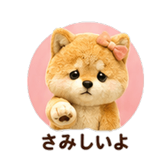 Teddy Fleece Shiba Inu Dog Girlfriend