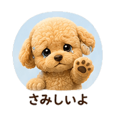 Teddy Fleece Toy Poodle Dog Boyfriend