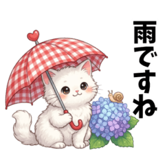 Gentle Everyday Life of a White Cat