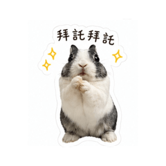 芝麻拜託拜託❤️