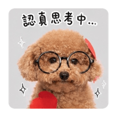 可愛の姆姆