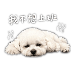 寵物 不想上班系列