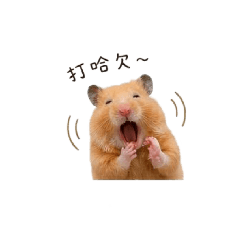 問候的豆奶