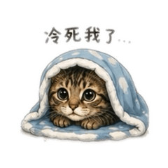 可愛年年出沒中
