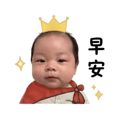 楊寶的日常語錄篇