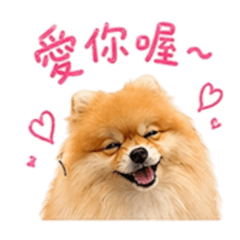 添添不是天天-彩色字體