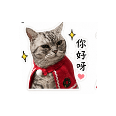 豬豬的愛你唷