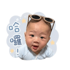 奇哥的日常用語