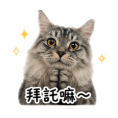 六六寶寶日常可愛