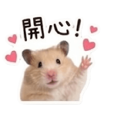 麻糬的俏皮日常2
