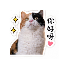 妹妹愛你唷