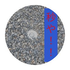 WASABI_20260512232823