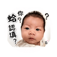 蛋噗蛋噗2