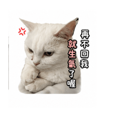 李褕褕