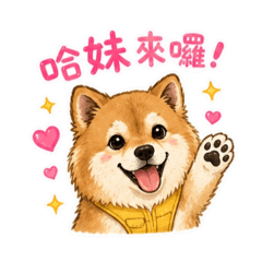 哈妹來囉