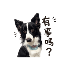 小寶搗蛋圖