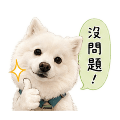 Dior的一天日常